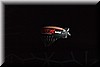 blimp.JPG